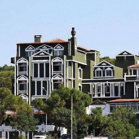 Jinan Berk Ayvalı